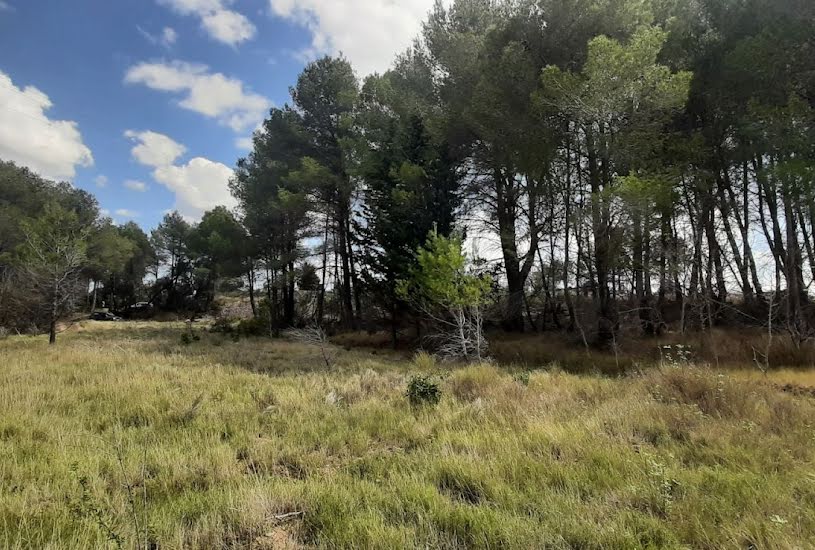  Vente Terrain agricole - 7 020m² à Pouzols-Minervois (11120) 