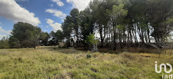 terrain à Pouzols-Minervois (11)