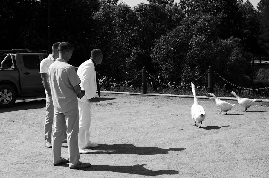 Fotografo di matrimoni Zhanna Siseckaya (sisetskayazhanna). Foto del 6 agosto 2016