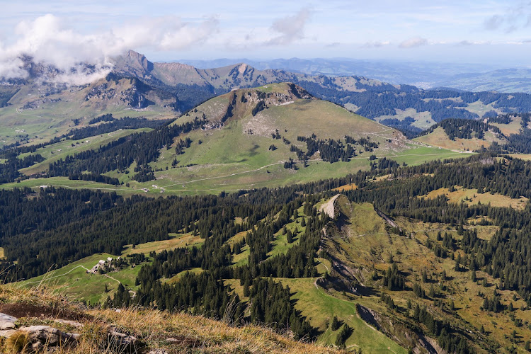 The four men went missing in the Parlitobel Gorge in the canton of St. Gallen, Switzerland.