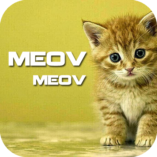 Cat Sound Ringtones Meowwe 音樂 App LOGO-APP開箱王