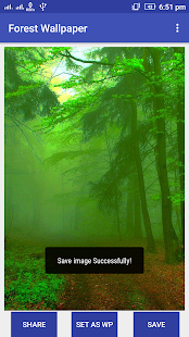 Forest Wallpaper(圖5)-速報App