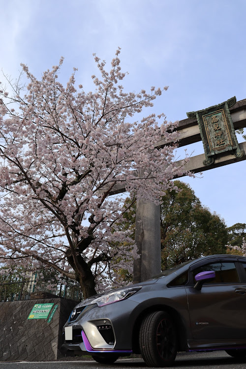 ノートのカメラの練習・朝活ドライブ・朝活お爺ちゃん？・お城とコラボ・桜とコラボ🌸に関するカスタム事例の投稿画像14枚目