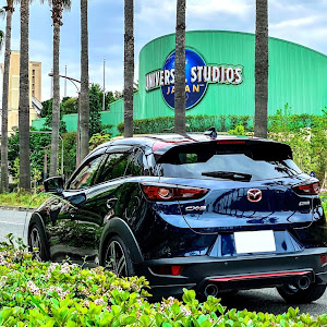 CX-3 DKEFW