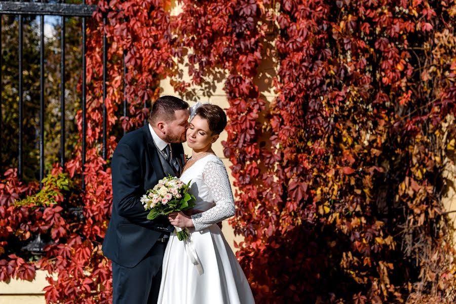 Fotógrafo de casamento Ekaterina Bezhkova (katyabezhkova). Foto de 31 de outubro 2018