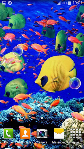 免費下載個人化APP|Aquarium Live Wallpaper app開箱文|APP開箱王