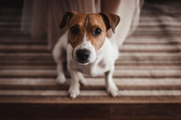 Wedding photographer Ilya Romanov (instromanov). Photo of 27 December 2017