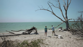 Getting Closer to Nature on Palm Island thumbnail