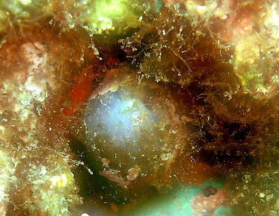 Un clic pour voir la photo en grand