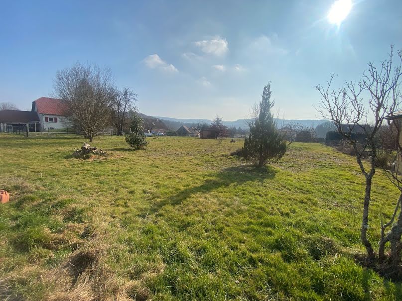 Vente terrain  1500 m² à Champagney (70290), 54 000 €