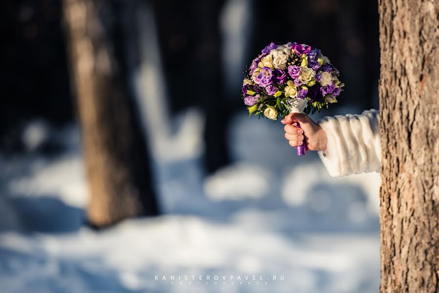 Wedding photographer Pavel Kanisterov (halo). Photo of 25 January 2019