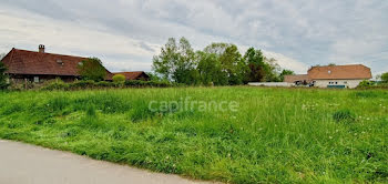 terrain à Louhans (71)