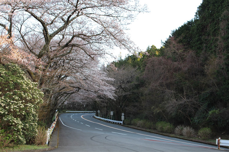 の投稿画像3枚目