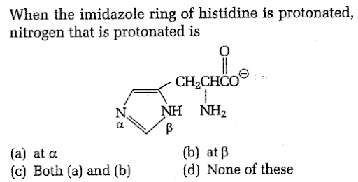 Amino Acids