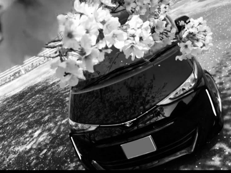 エスティマのモノクロ祭り便乗・コロナウイルスに負けるな・桜と愛車に関するカスタム事例の投稿画像3枚目
