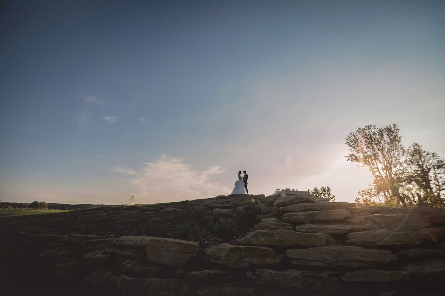 Wedding photographer Bálint Kovács (bkphotography). Photo of 8 November 2018