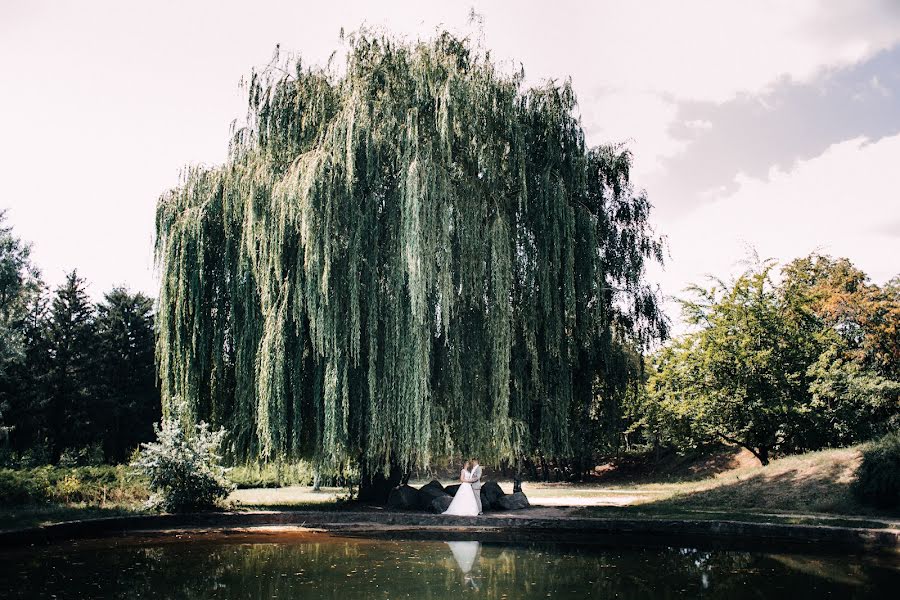 Fotografo di matrimoni Maks Vladimirskiy (vladimirskiy). Foto del 1 giugno 2022