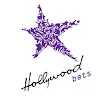 Hollywoodbets icon