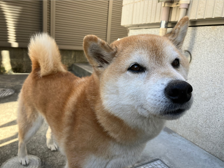 シビックタイプRのホイールショット・ドライブ・シビックタイプRに関するカスタム事例の投稿画像5枚目