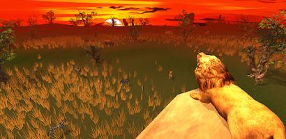 Safari Simulator: Lion Screenshot