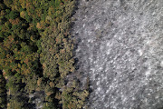 View of a partially burned forest following a wildfire, near the village of Avantas in the region of Evros, Greece, August 28, 2023. 