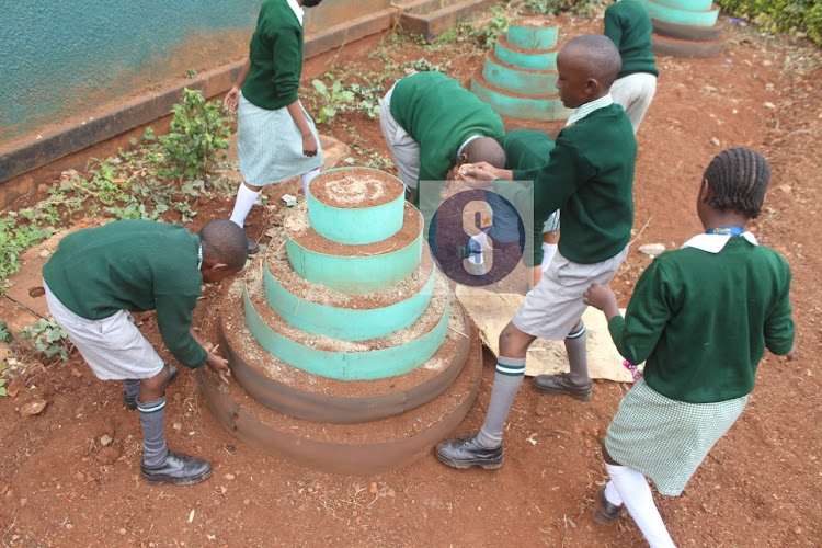 Grade 5 pupils at an innovative gardening set up in the ongoing CBC Knec assessment at Westlands Primary School, Nairobi, on August 24