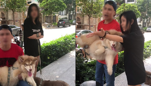 Cả nam thanh niên Việt Kiều và bạn gái đều tỏ ra là người vô lễ, xấc xược khi cãi tay đôi với người lớn tuổi bằng thái độ hỗn láo