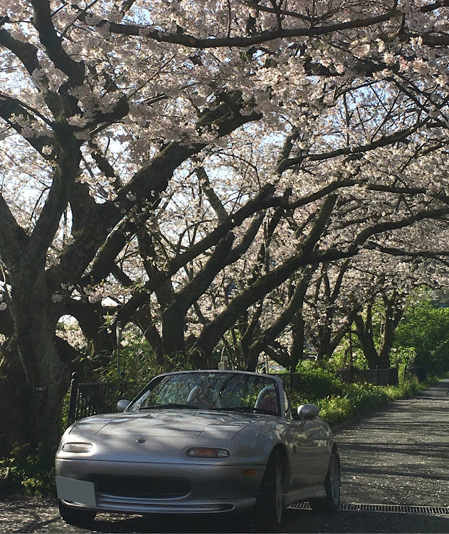 ロードスターの過去写真・平日ドライブ・車検から帰還・コロナに負けるな・医療従事者に感謝に関するカスタム事例の投稿画像7枚目