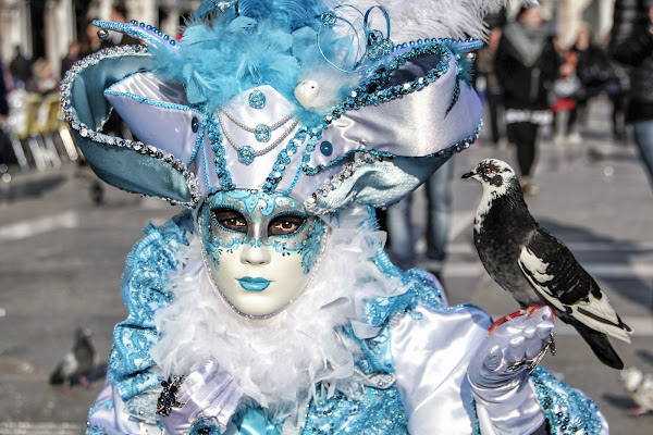 La maschera e il piccione di Yoyo