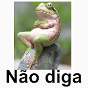 Sapo Meme Br  Icon