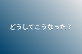 どうしてこうなった？