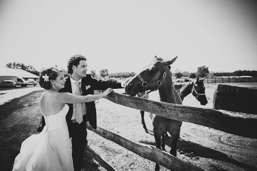 Wedding photographer Zoltán Bakos (bzeskuvofotos). Photo of 20 February 2018