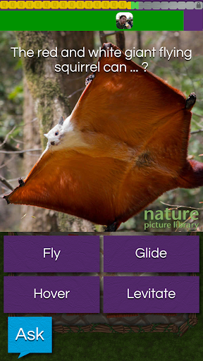 QuizTix: Animal Pics Quiz