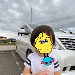 アルファード ANH20W