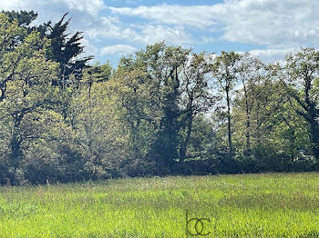 terrain à Le Tour-du-Parc (56)