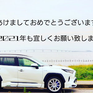 RAV4 AXAH54