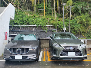 バーチカルグリルに関するカスタム ドレスアップ情報 438 件 車のカスタム情報はcartune 2ページ目
