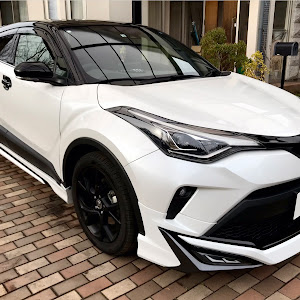 C-HR ZYX11