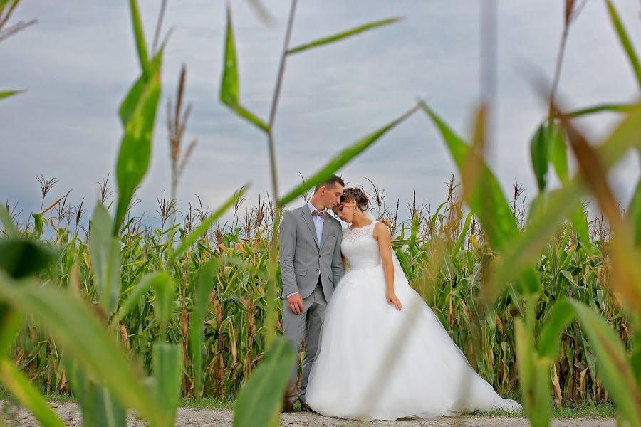 Fotógrafo de casamento Kamila Mirzoeva (kamila77). Foto de 31 de agosto 2018