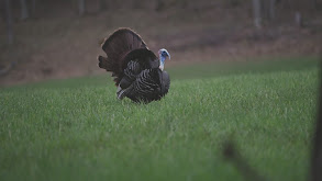 Headhunters Turkey Tour 2022 thumbnail