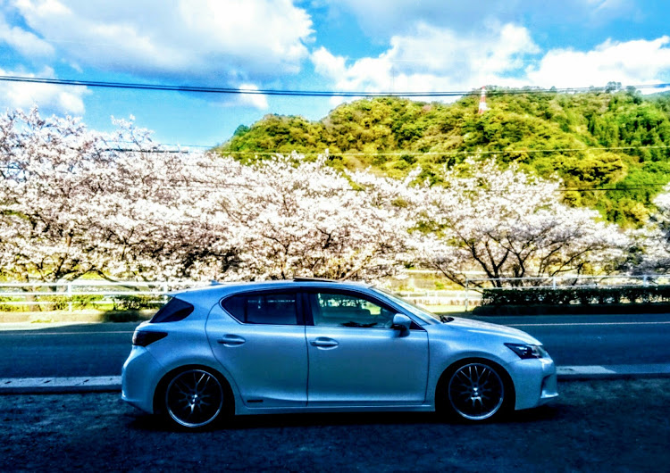 CTの平成最後の桜🌸・歓迎会・呑みます🍺・鯉のぼり🎏・㊗令和元年に関するカスタム事例の投稿画像1枚目