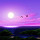 Sunset Wallpapers Theme Sunset New Tab