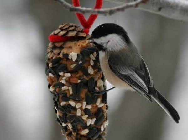 Pinecone Bird Feeder with Bark Butter_image