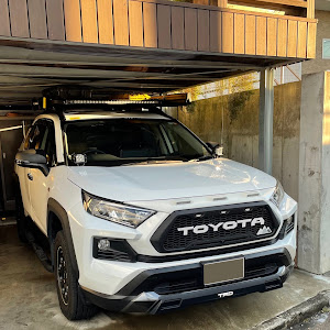 RAV4 MXAA54