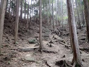 階段を登る