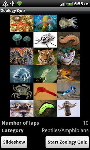 Screenshot Zoology Quiz - name the animal