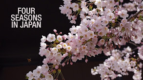 Four Seasons in Japan thumbnail