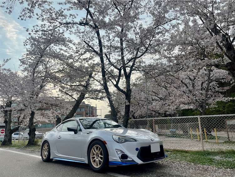 86のサクラコラボに関するカスタム事例の投稿画像1枚目