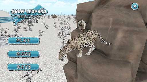 2020 Survival Of The Snow Leopard