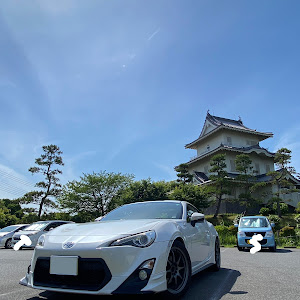 86 ZN6